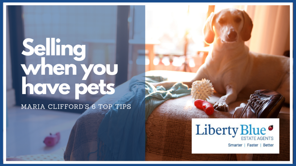 How best to sell your home if you have a pet 6 top tips Liberty Blue Estate Agents