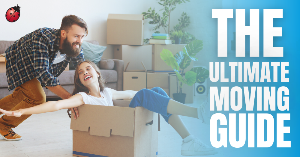 The Ultimate Waterford Moving Guide