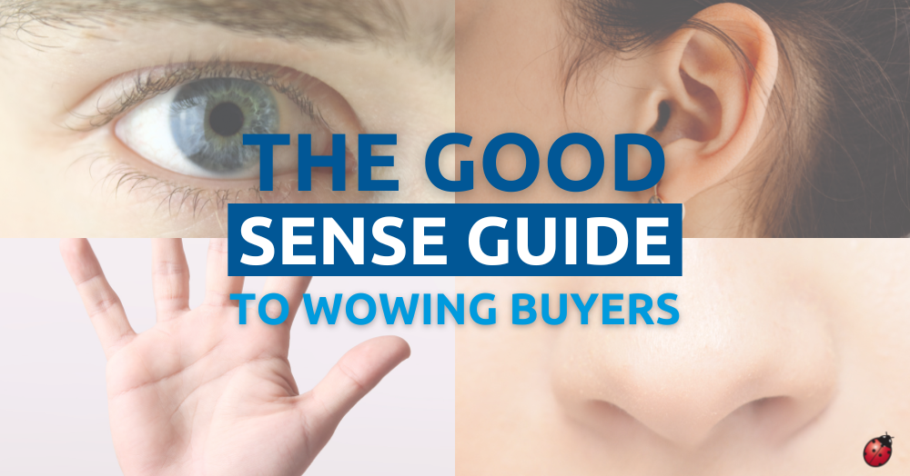 The Good Sense Guide to Selling Your Waterford Home 