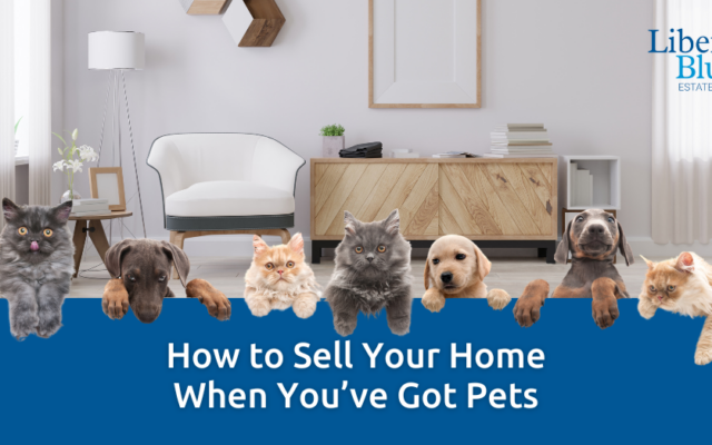 How to Sell Your Waterford Home When You’ve Got Pets