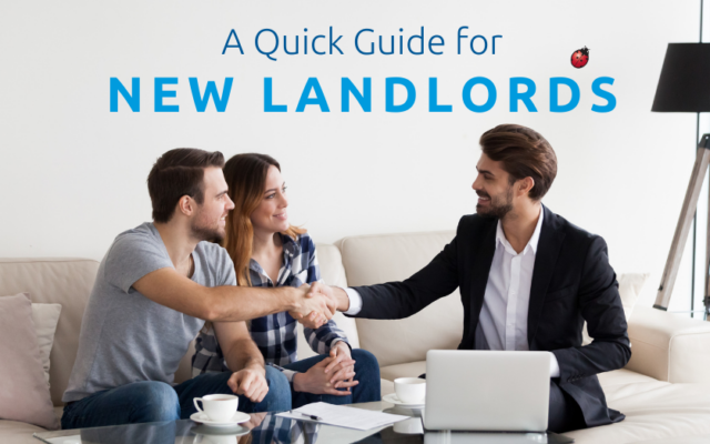 What You Need to Know as a First-Time Landlord in Waterford