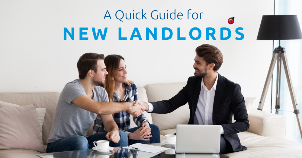 First-Time Landlord - A Quick Guide - Liberty Blue Estate Agents Waterford