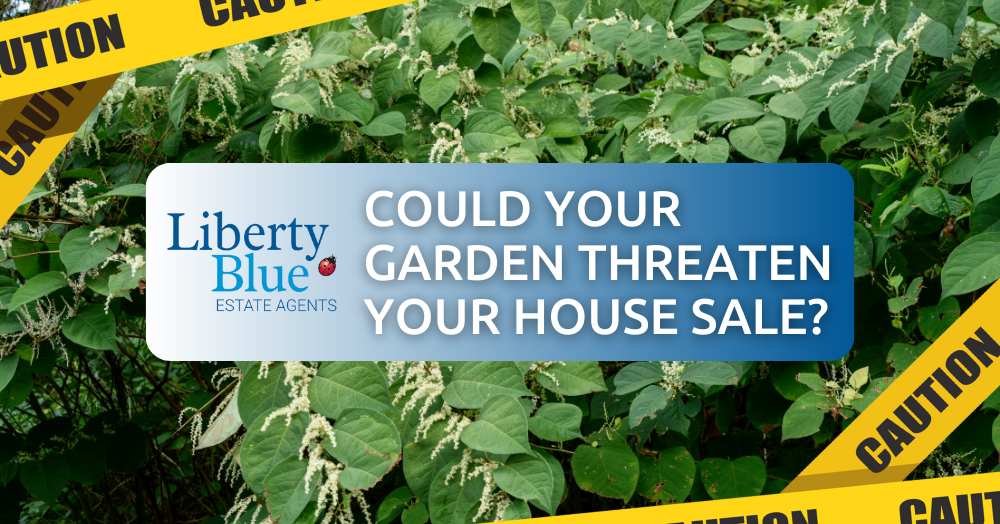Japanese Knotweed Could Your Garden Threaten Your Waterford House Sale? Liberty Blue