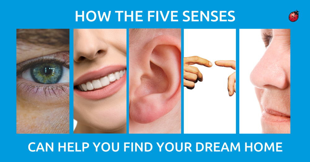 How the Five Senses Can Help You Find Your Dream Home - Liberty Blue